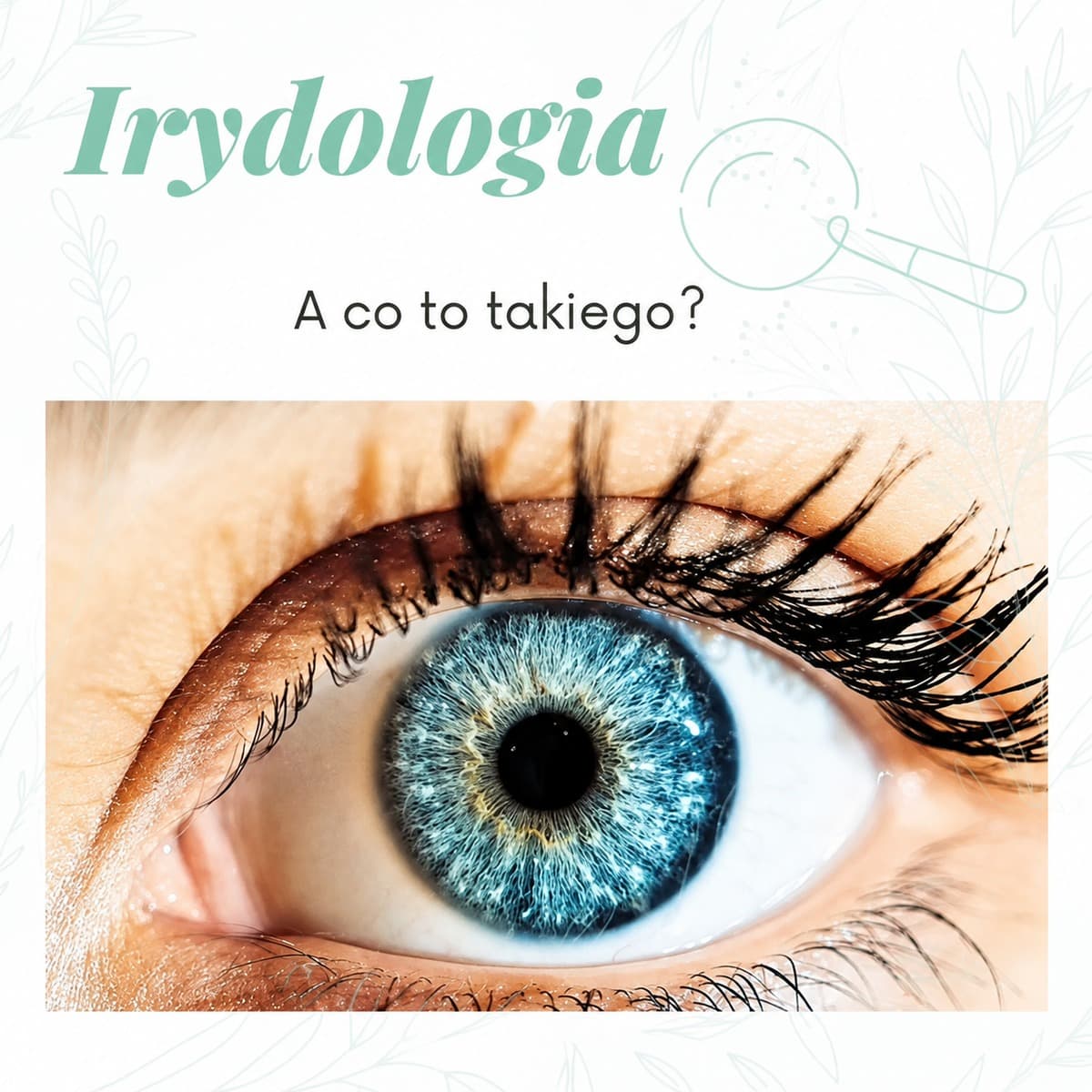 Irydologia